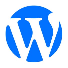 WordPress SEO service